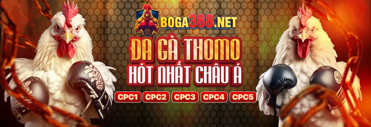 Sảnh Đá Gà Trực Tuyến Hấp Dẫn tại 138vn